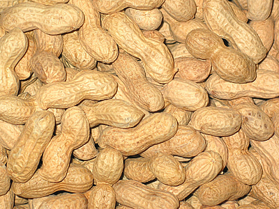 bunch of brown nuts thumbnail