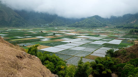 rice paddy valley under cloudy sky thumbnail