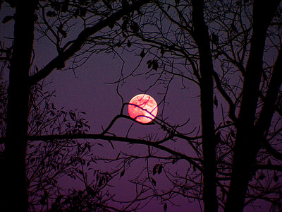 red moon during nighttime thumbnail