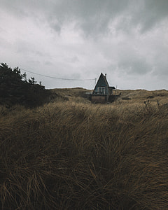 brown and blue wooden house in center of grasses thumbnail