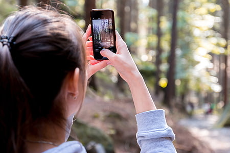 woman taking photo on trees thumbnail