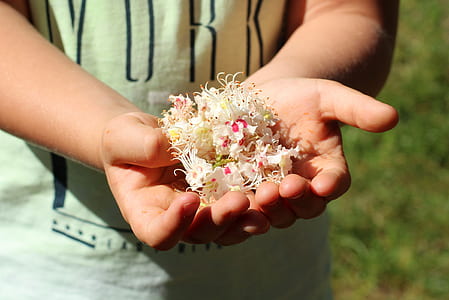person holding white flower petals thumbnail