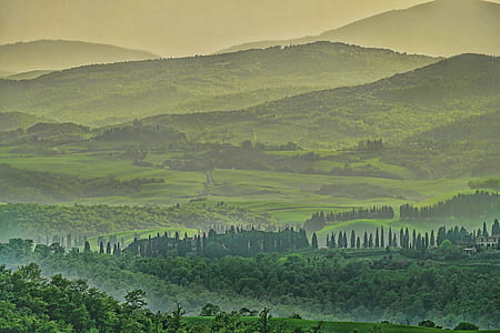 landscape photo of green leafed trees within mountain range thumbnail