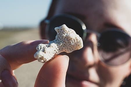 Person Holding White Coral thumbnail