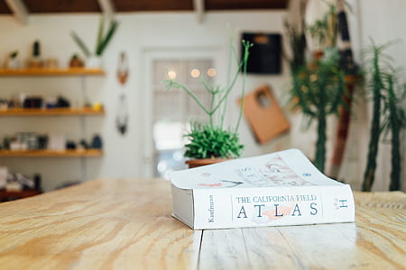 Atlas book on top brown wooden table thumbnail