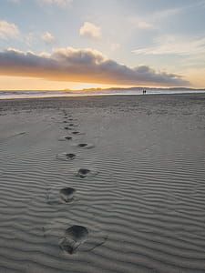 Foot Prints in Gray Sand thumbnail