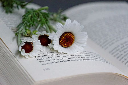 white flowers on book page thumbnail