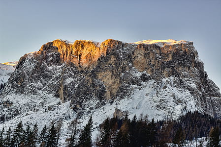 trees near mountain at daytime thumbnail