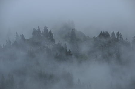 foggy mountain thumbnail