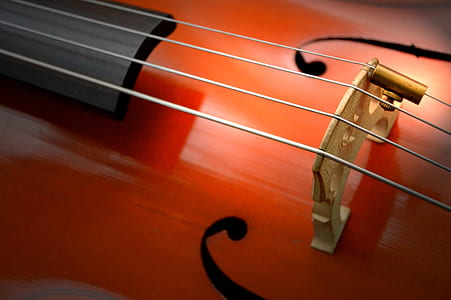 brown violin thumbnail