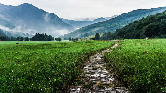 green grass field with mountains thumbnail