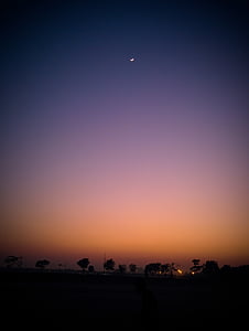 silhouette of trees at night thumbnail