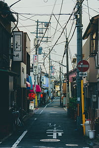 two person walking along street during daytime thumbnail