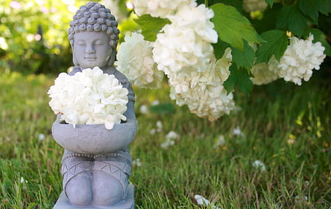 Buddha statue with white hydrangea flowers thumbnail