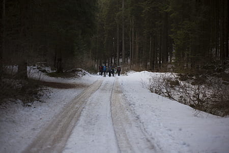People Walking on Icy Road thumbnail