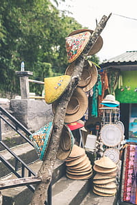 Photo of Hats Hanging on Tree thumbnail