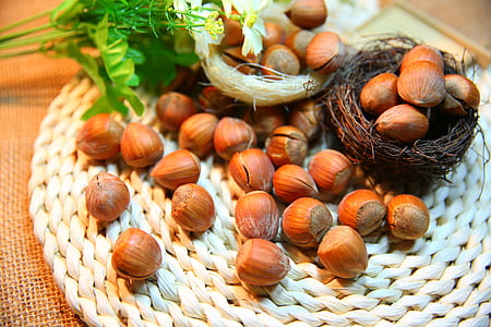 bunch of hazel nuts thumbnail