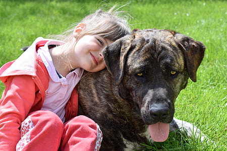 girl wearing pink jacket leaning on short coated brown dog thumbnail