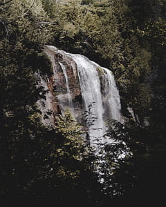 waterfalls behind green trees thumbnail