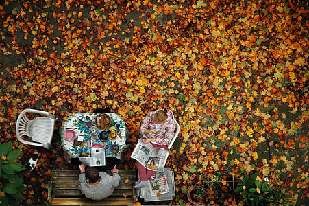 aerial photography of man and woman sitting on bench near brown leaf covered floor thumbnail