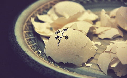 white egg shell on plate thumbnail