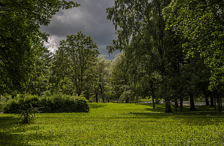 Before The Storm, Before The Rain thumbnail