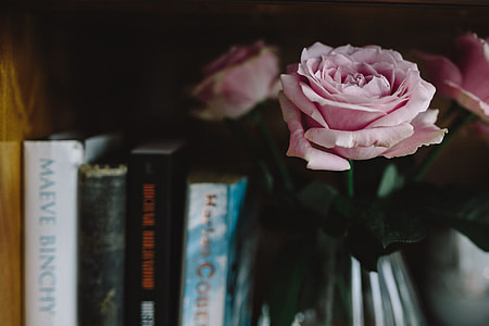Lovely roseses, book and coffee thumbnail