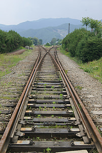 train rail in the middle of trees thumbnail
