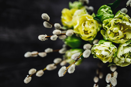 Close-ups of little yellow flowers and catkins in a glass jar thumbnail