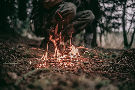 selective focus photography of fire thumbnail