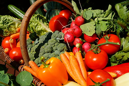 assorted-color-and-pattern vegetable lot thumbnail