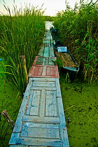 green grass peild thumbnail