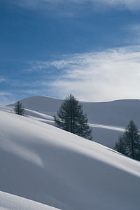 snow-covered field thumbnail