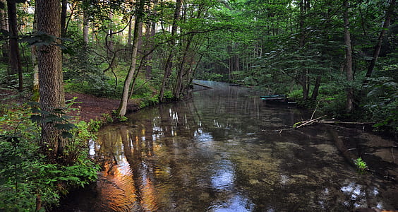 time lapse river beside trees thumbnail