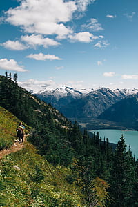 two people walking near grass during daytime thumbnail