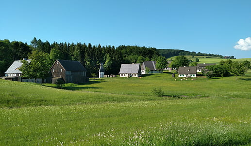 houses near trees under blue sky thumbnail