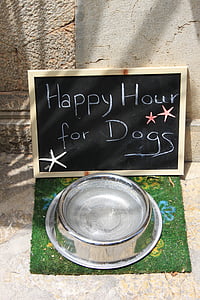 silver pet bowl in front of chalkboard thumbnail