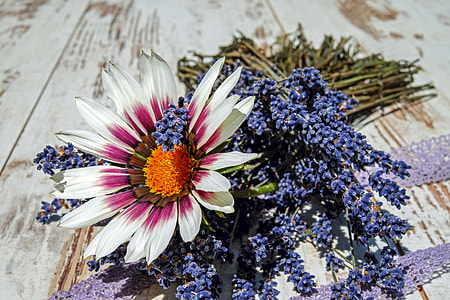 close up photo of white-and-pink petaled flower on grey wooden board thumbnail