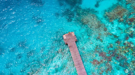 bird's eye view of brown dock thumbnail