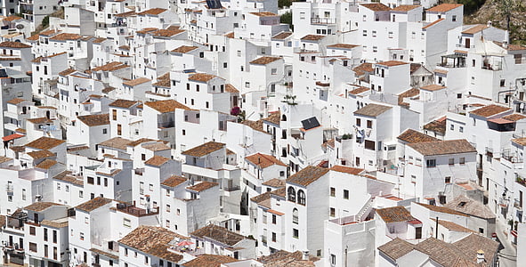 architectural photography of house thumbnail