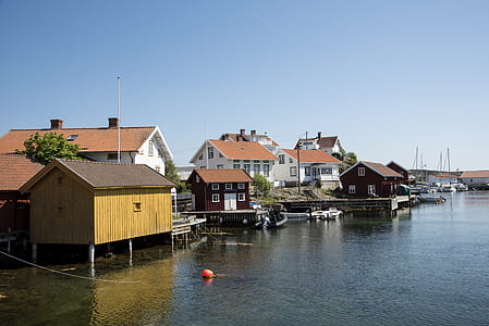 houses beside body of water thumbnail