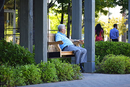 man sitting on brown bench thumbnail