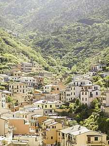 aerial photography of buildings near mountain covered with trees at daytime thumbnail