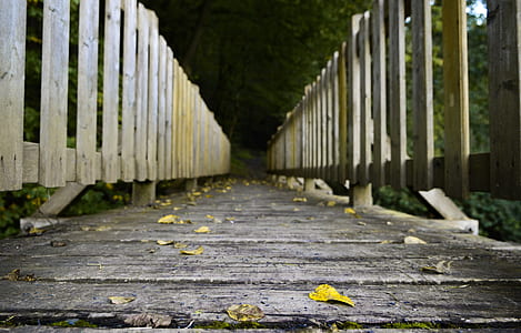 fallen leaves on brown wooden bridge thumbnail
