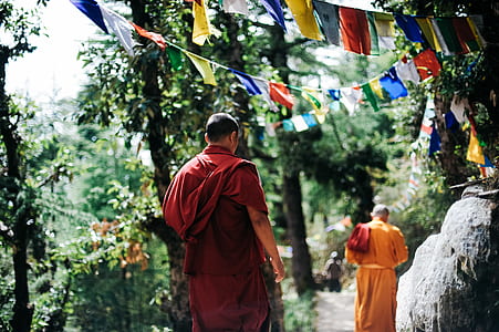 Two Monks Walking Between Trees thumbnail