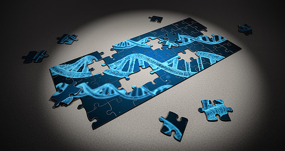 shallow focus photography of blue and black jigsaw puzzle thumbnail