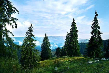 aerial view of mountain thumbnail