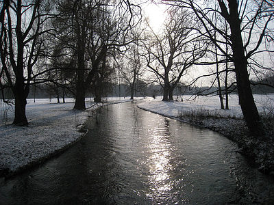 brown tree near body of water during daytime thumbnail