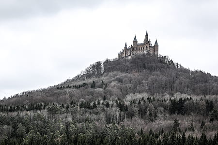 low angle photography of concrete castle on top of the hill thumbnail
