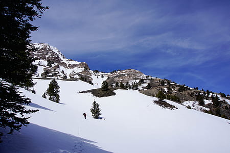 trees on snow covered mountain thumbnail